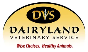 Dairyland Veterinary Services